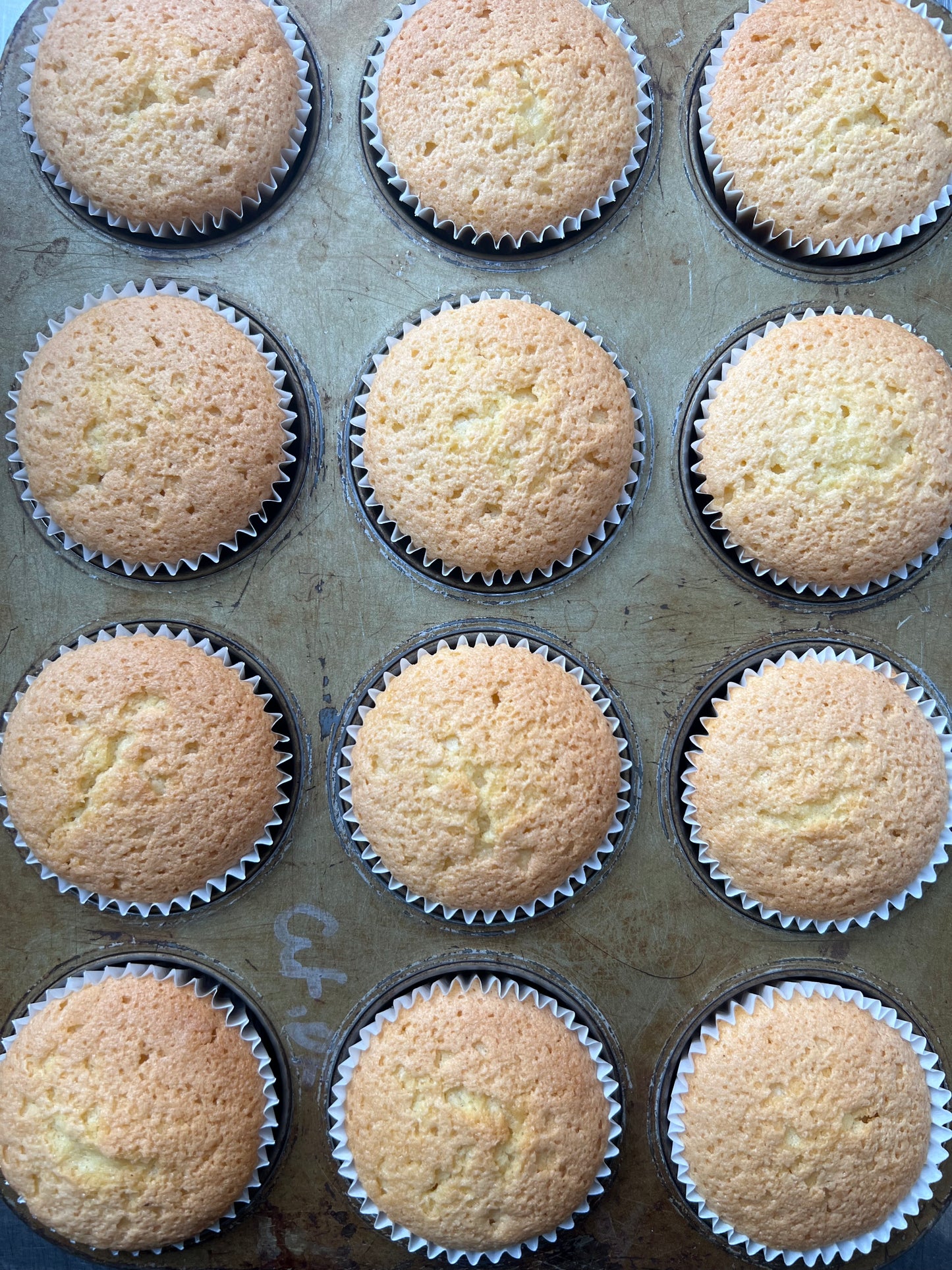 Vanilla Cupcake Recipe